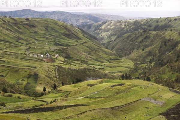 Fields in the mountains