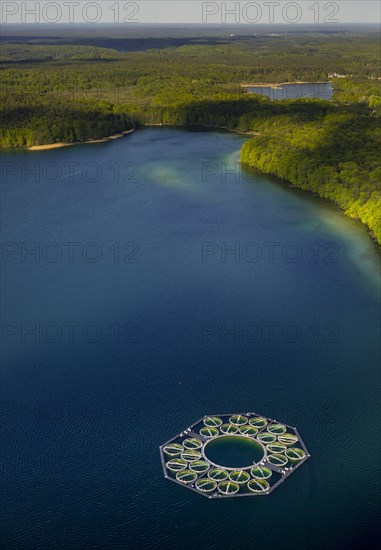 Stechlin Cisco fish farming