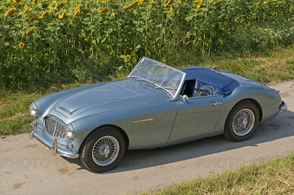 Austin-Healey 3000