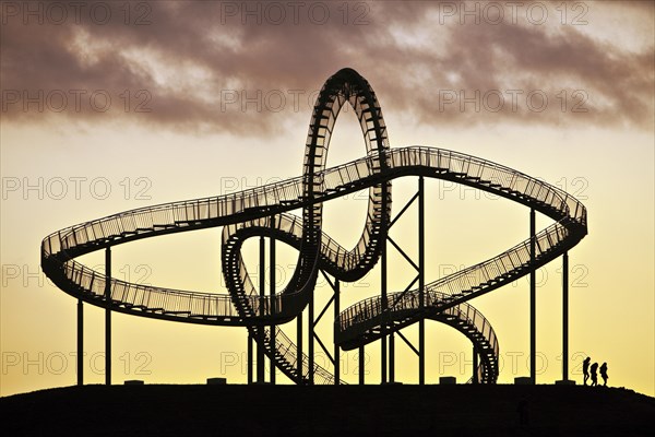 Landmark Tiger & Turtle - Magic Mountain