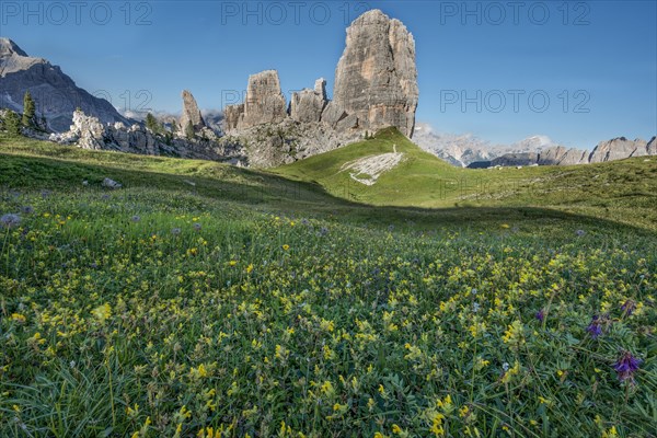 Cinque Torri with blue sky and a meadow of yellow flowers in the foreground