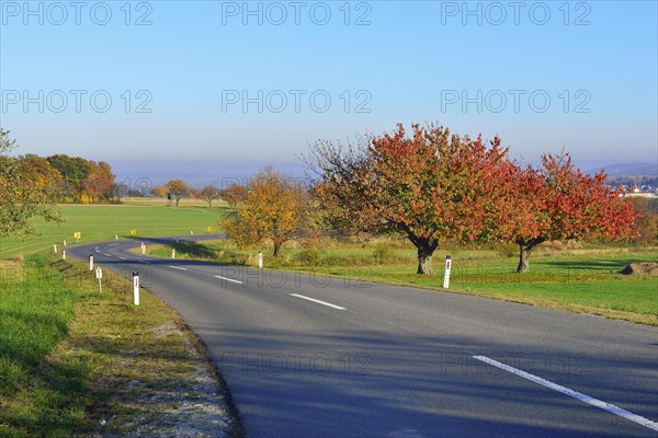 Autumn mood along the Burgenland Wine Road