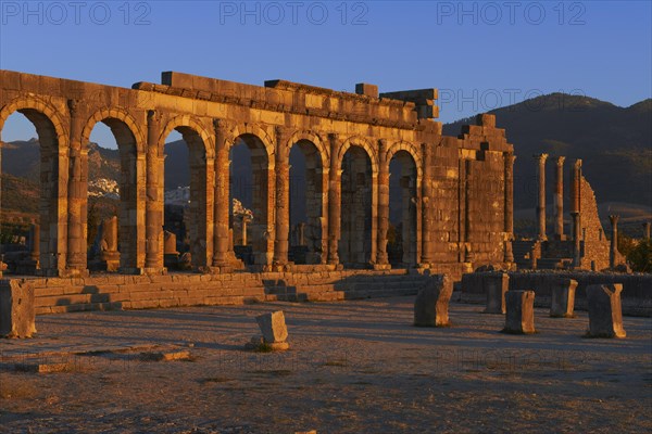 Roman ruins of Volubilis