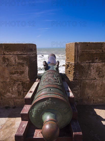 Cannon on fortification