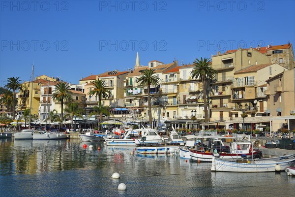 Row of houses with palm trees at the harbor