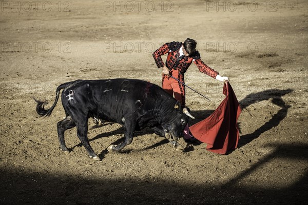 Bullfighter performing a ""Veronica""