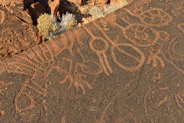 Neolithic petroglyphs of Twyfelfontein