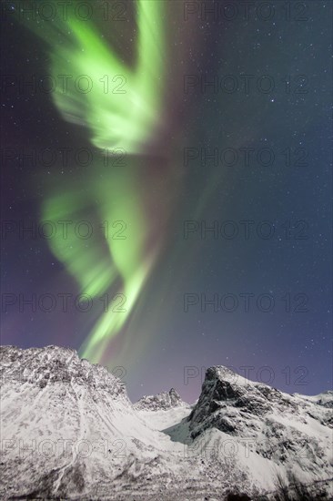 Aurora over the Grotfjord