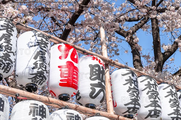 Lanterns with Japanese characters