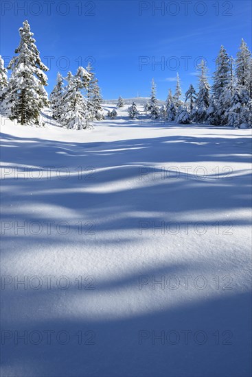 Snow-covered winter landscape