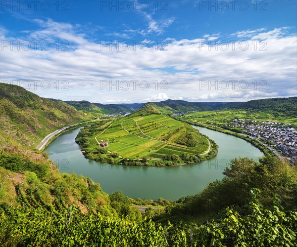 Mosel river loop