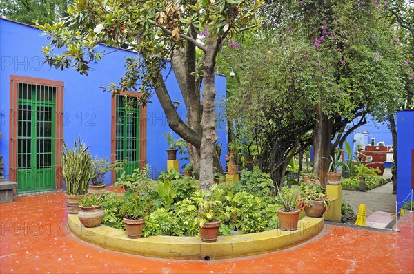 Frida Kahlo Museum