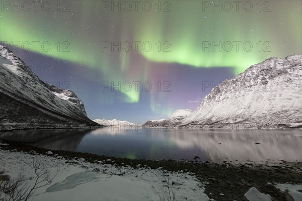 Aurora over the Grotfjord