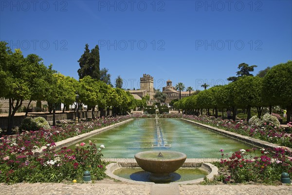 Garden in the Alcazar de los Reyes Cristianos