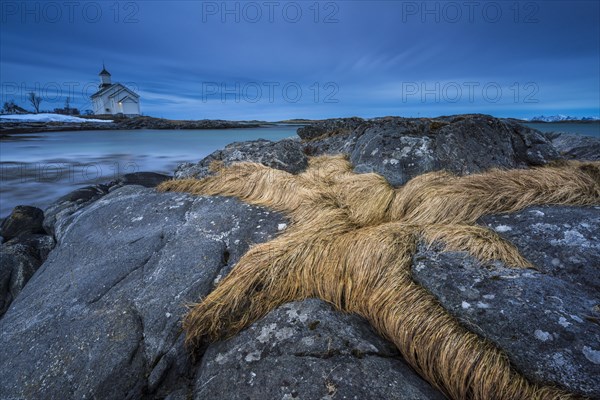 Rocks at the coast