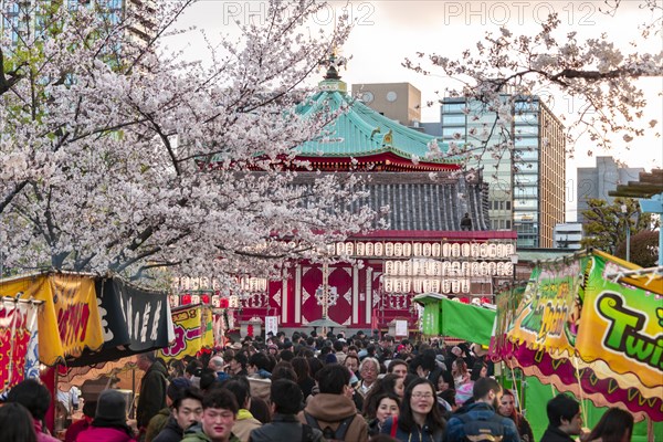 Crowd at Shinobazunoike Bentendo Temple at Hanami Fest