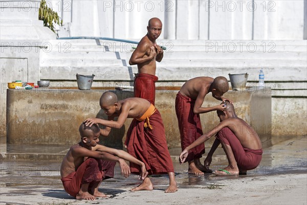 Novice monks during their morning bath with a shaving of the head in the Shwe Yaunghwe Kyaung Monastery