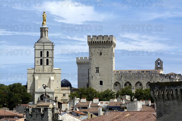 Avignon Cathedral