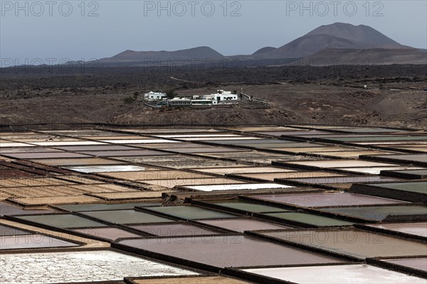 Sea salt production