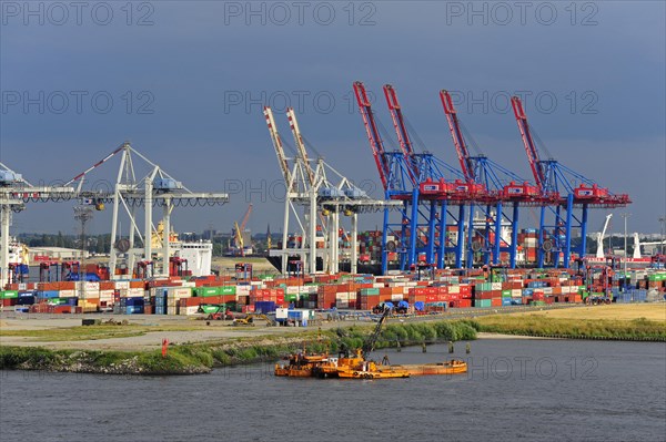 Gantry cranes for container terminal Tollerort