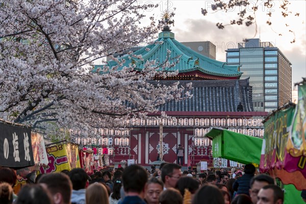 Crowd at Shinobazunoike Bentendo Temple at Hanami Fest