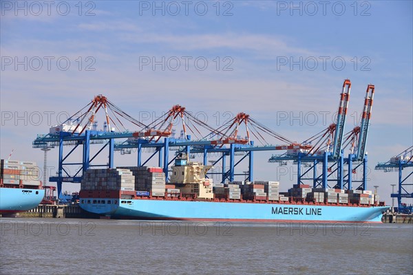 Container ship and gantry cranes