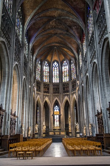Sainte-Waudru Collegiate Church