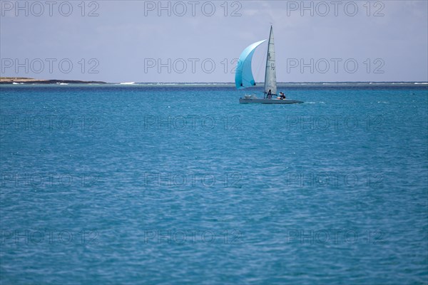 Sailboat in the Nonsuch Bay