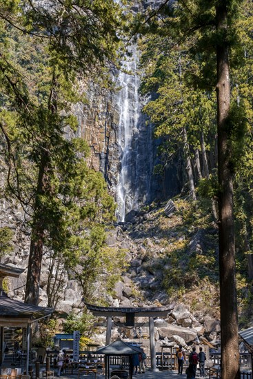 Nachi waterfall behind pagoda of Seigantoji Temple