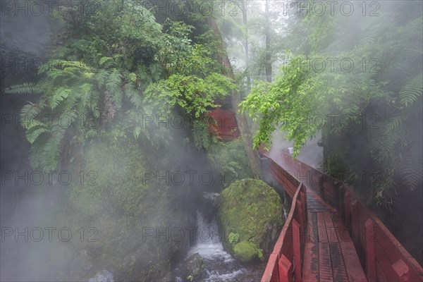 Steaming hot springs in the gorge of the Termas Geometricas