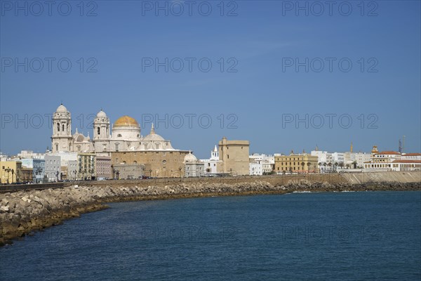 Cadiz Cathedral