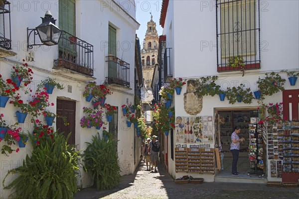 Calle de las Flores with flowers