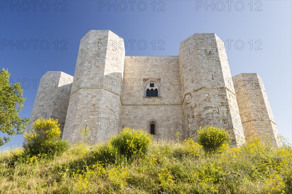 Castel del Monte