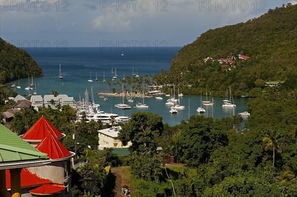 Boats in the harbour