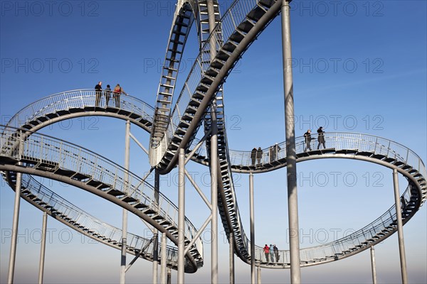 Landmark Tiger & Turtle - Magic Mountain