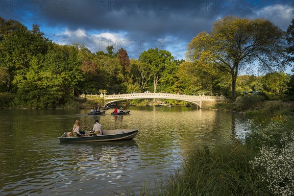 Rowing Boats on The Lake