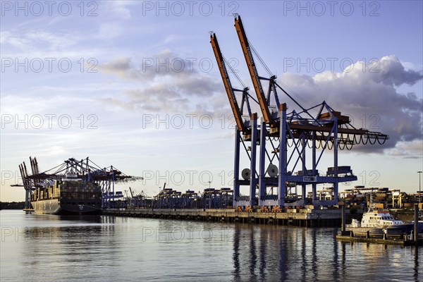 Container terminal Burchardkai in Waltershof Port of Hamburg