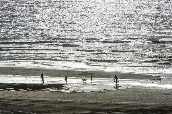 People walking on the beach