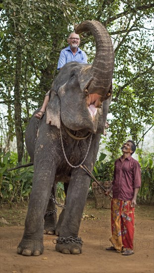 Tourist riding an elephant and mahout or elephant guide