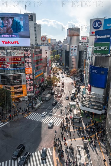 Crowd of people crossing with zebra crossing and traffic