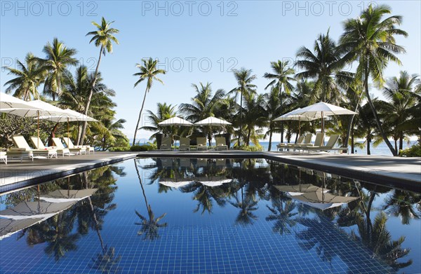 Sun loungers and parasols by a pool under palm trees