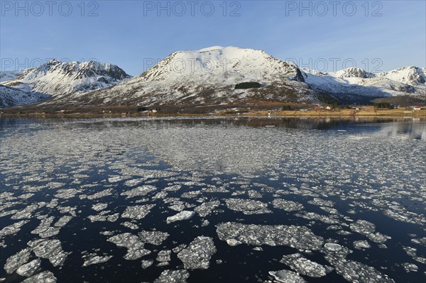 Ice pieces in the water of the Risoysund in front of snowy mountainous coastline