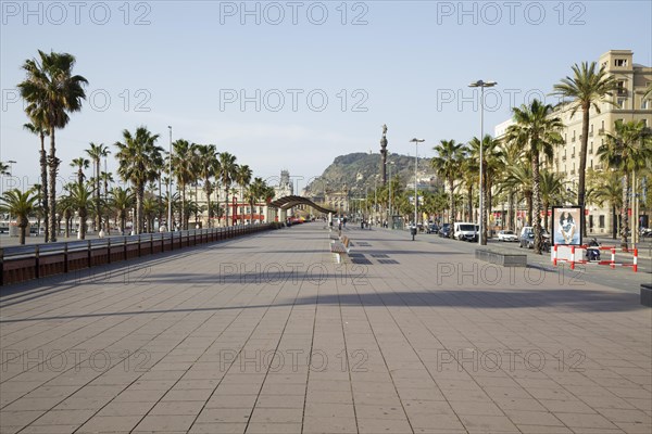 Passeig de Colom