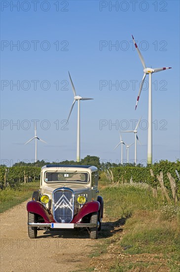 Citroen Rosalie 7UA