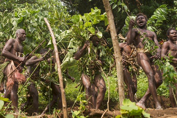 Men of the Sa people dancing at the Land diving ceremony