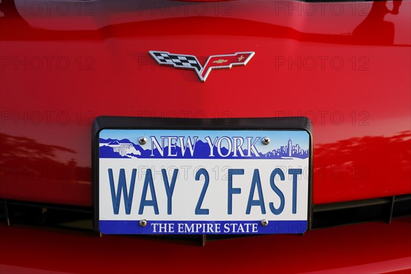 License plate