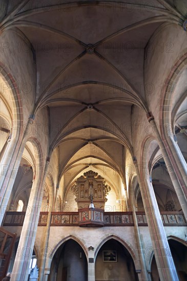 Vaults and organ loft of St. Mary's Church