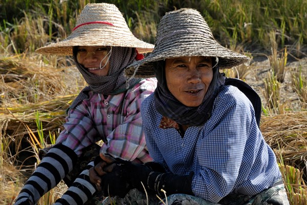 Two women in rice field