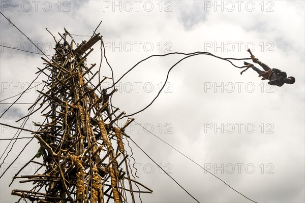 Land diver jumping