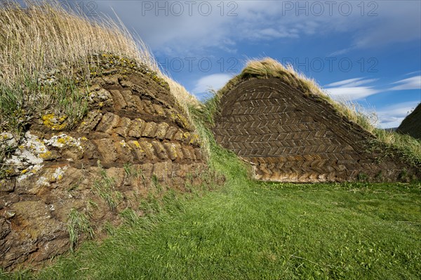 Sod houses